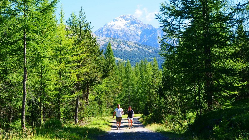 Parcours 1 – Le parcours santé du bois de Sestrières - Espace Trail 3000 Montgenèvre