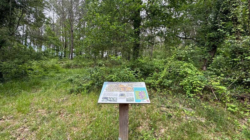 Panneau Touristique 2 - Anciennes Landes