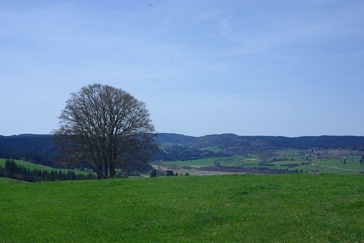 Vue sur le lac de Remoray