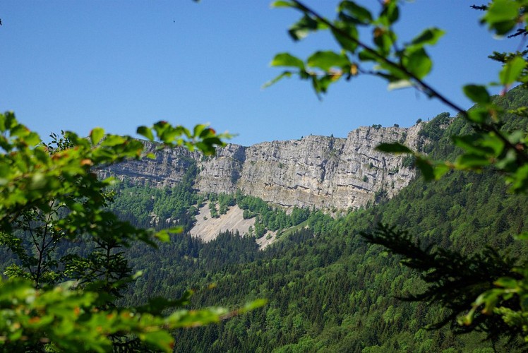 Trail Mont Ramey - Parcours Bleu