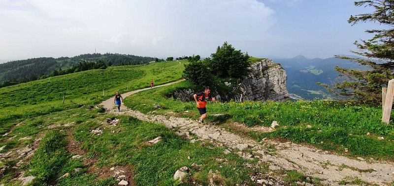 Trail sur le Mont d'Or - Parcours Rouge