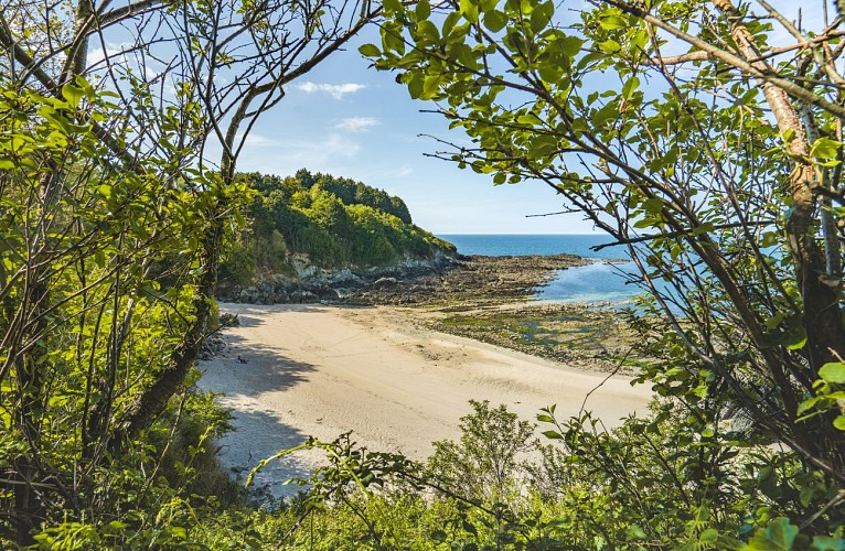 Boucle de Sainte Barbe