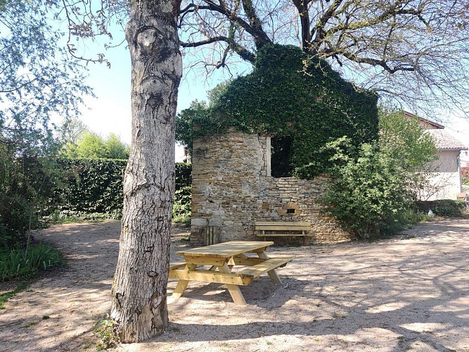 Le sentier de l'arboretum de Saint-Vulbas