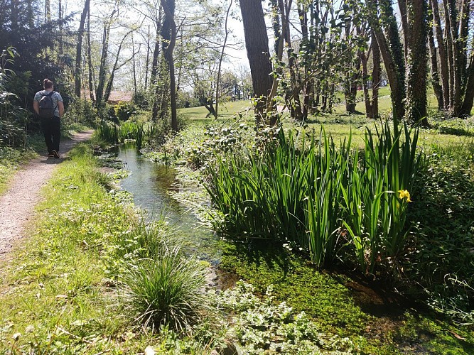 Le sentier de l'arboretum de Saint-Vulbas