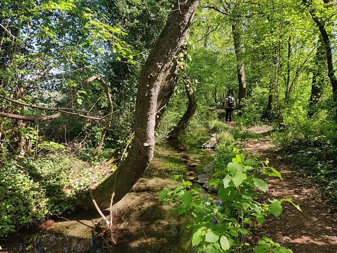 Le sentier de l'arboretum de Saint-Vulbas