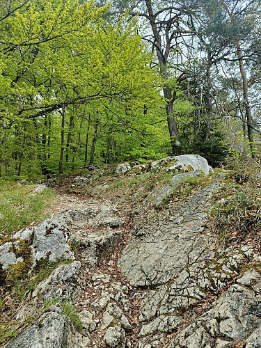 Semnoz Sainte-Catherine
