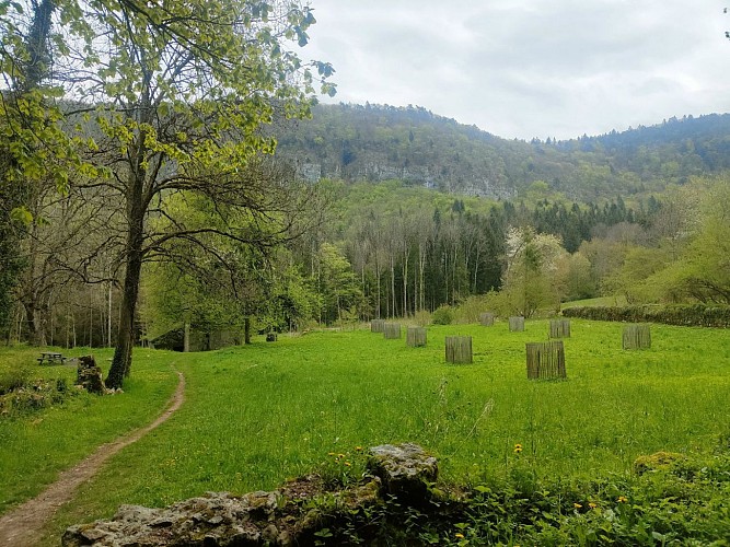 Ruines du couvent Sainte-Catherine