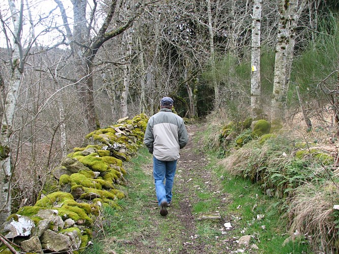 Sendero botánico forestal "Le Vallon secret de Subertha" - circuito pedestre