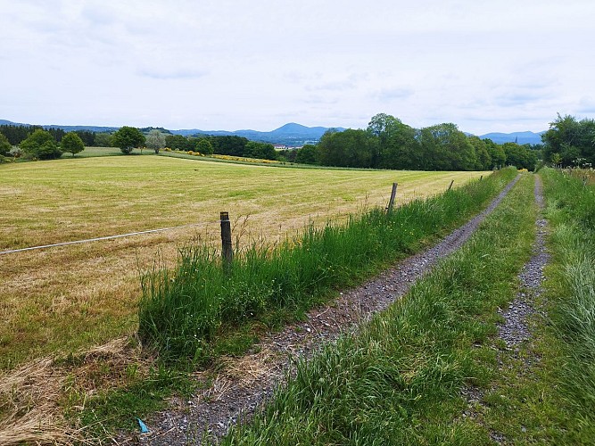 Le Puy de Moufle_Bromont-Lamothe