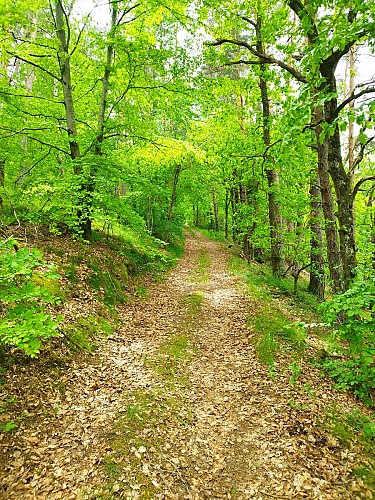 Le Puy de Moufle_Bromont-Lamothe