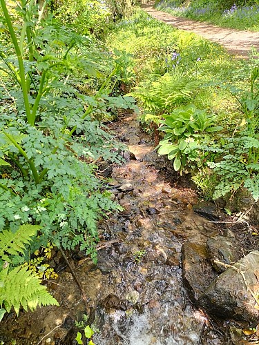 Ruisseau de l'Epine d'Hue