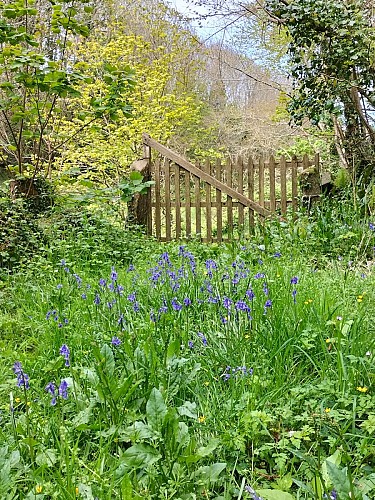 Vers Eculleville - Le Printemps