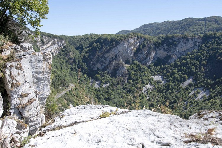 Hike "les vignes" in Cerdon