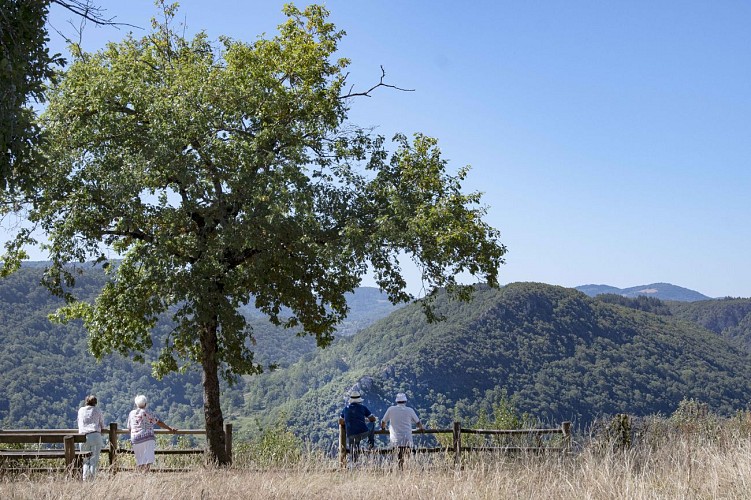 Hike "les vignes" in Cerdon