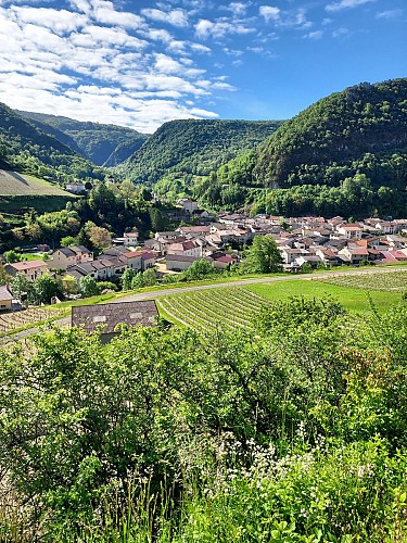 Hike "les vignes" in Cerdon