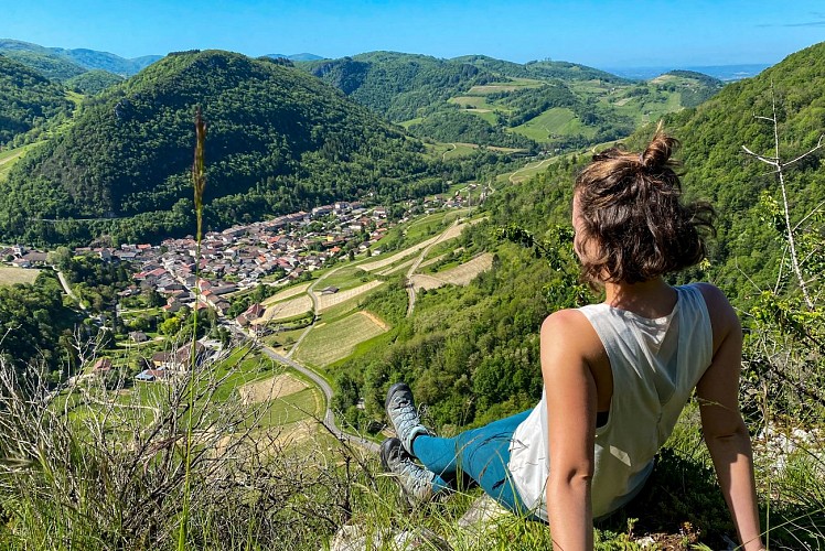 Point de vue sur le village de Cerdon et ses vignes