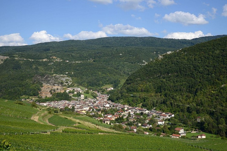 Circuit des vignes à Cerdon