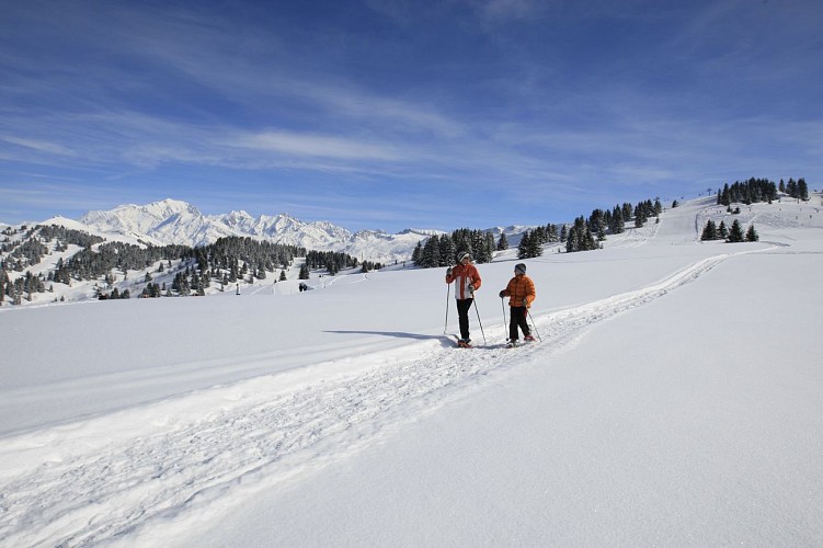 sentier-dame-le-mont-clocher