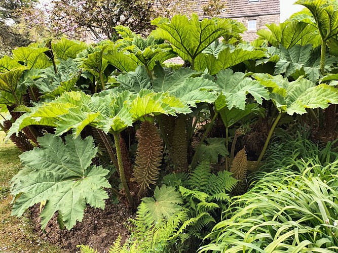 Maison (musée) Jacques Prévert