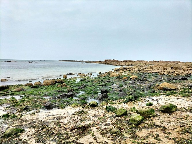 Retour vers Port Racine