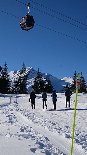parcours piétons sur le Plateau du Cuvy en hiver