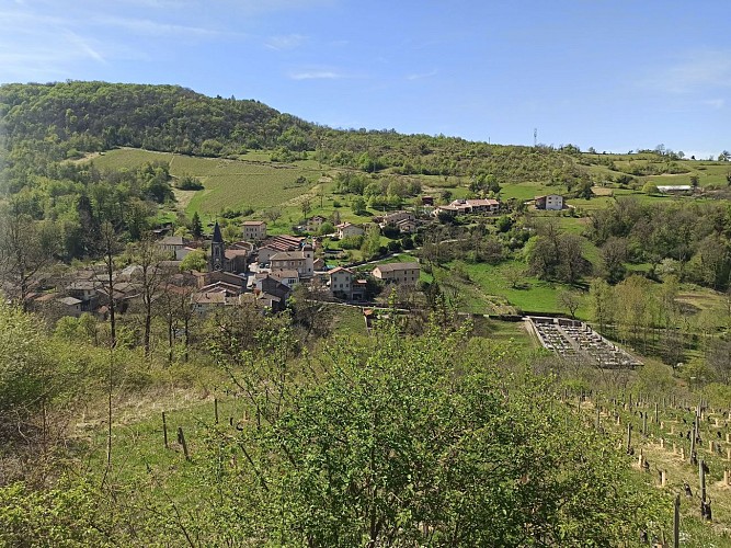 Boucle de l'Abergement de Varey par le château de Varey