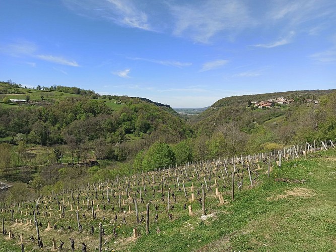 Boucle de l'Abergement de Varey par le château de Varey