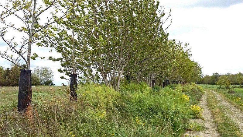 Circuit des chapelles | Tro Plistin