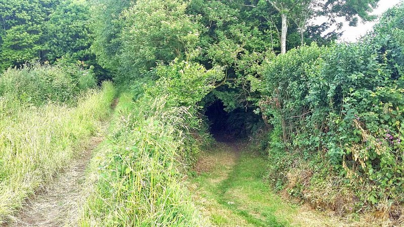 Randonnée / promenade à Plestin - Boucle Saint Sébastien