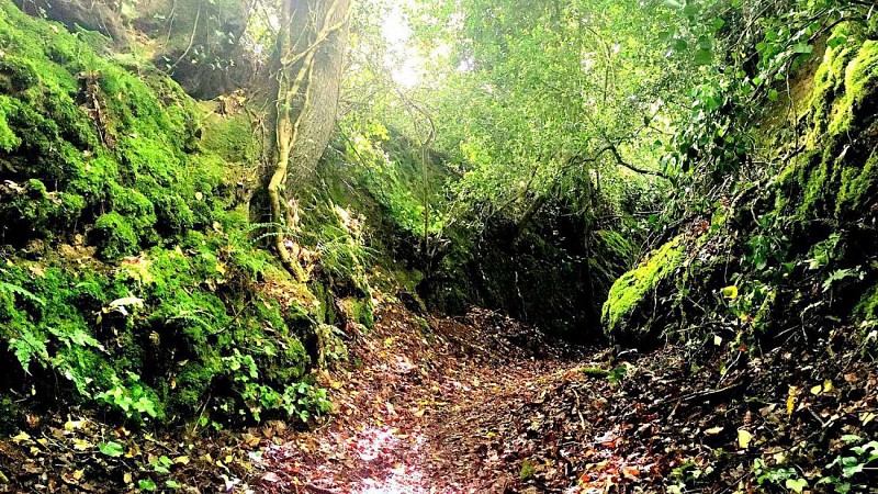 Randonnée / promenade à Plestin - Boucle Saint Sébastien