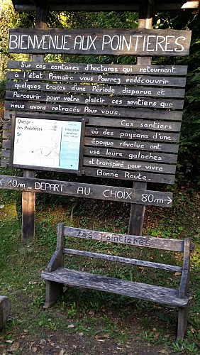 Queige - "Les Pointières" trail