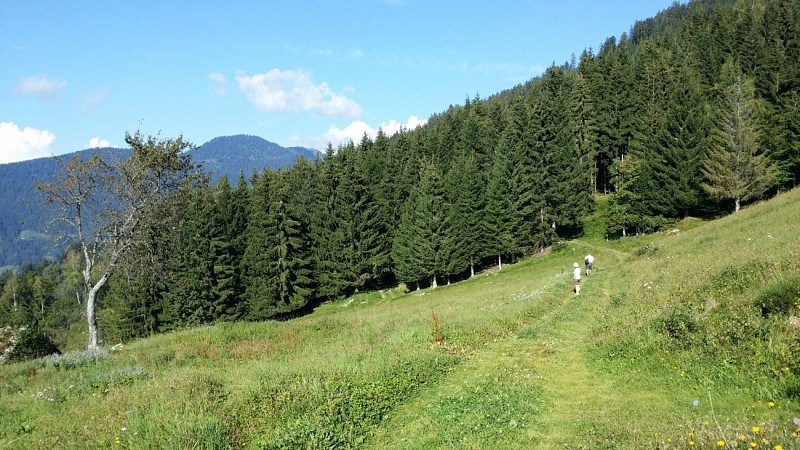 Sentier des Pointières