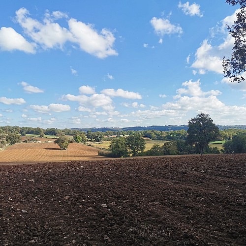 Champ cultivé sur le Causse
