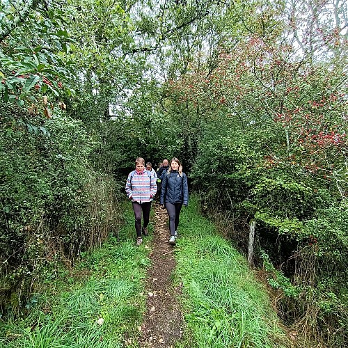 Randonneurs en chemin