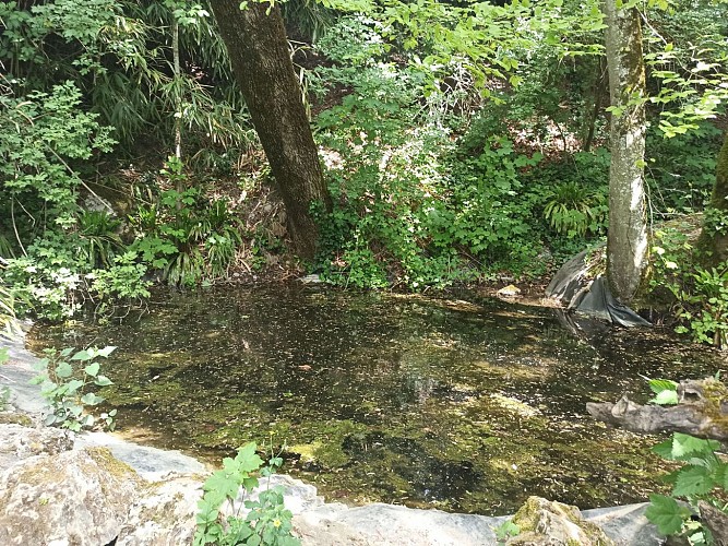 Boucle Château de Chazey - Sainte Julie