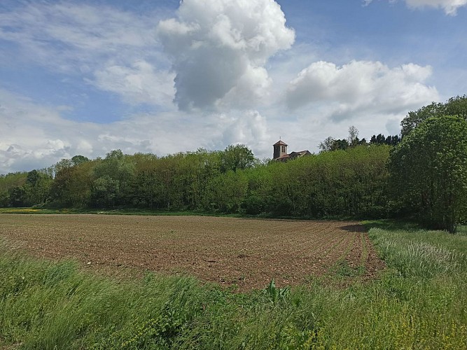 Boucle Château de Chazey - Sainte Julie