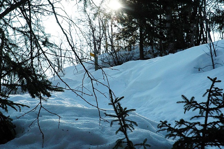 Snowshoe path: le Châtelard - Téton
