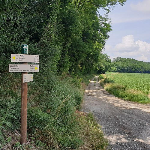 Circuit pédestre "Autour de Bressolles"