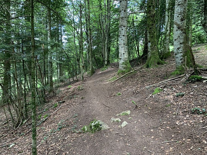 Sentier de randonnée - Ronde des étangs Marron