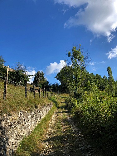 Hike starting from Parves-et-Nattages: le circuit du Sorbier