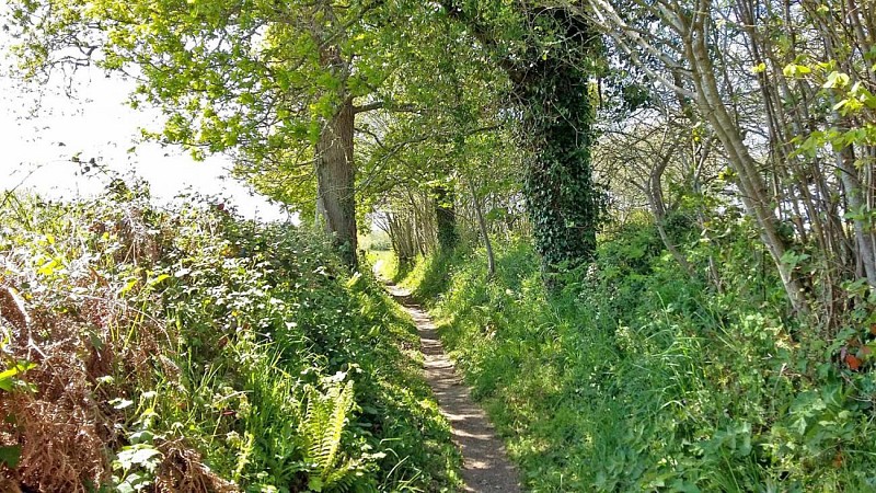 Promenade Plestin les Gréves - Boucle de Saint Haran