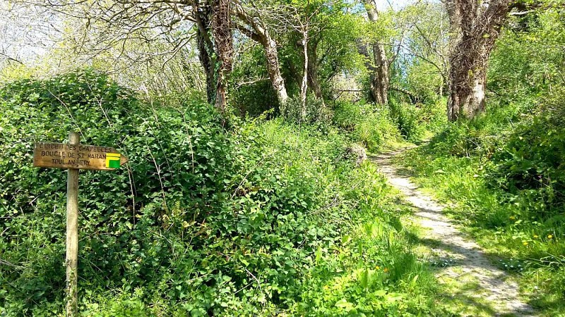 Promenade Plestin les Gréves - Boucle de Saint Haran