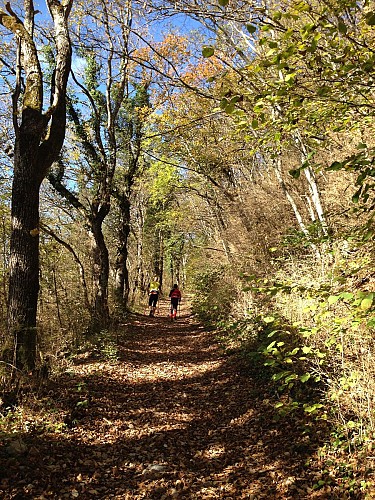 Hike: Grand Colombier from Culoz