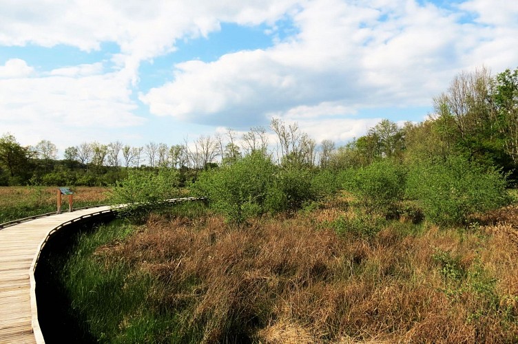 Marais Massilly @J CHR PARCEL (8)