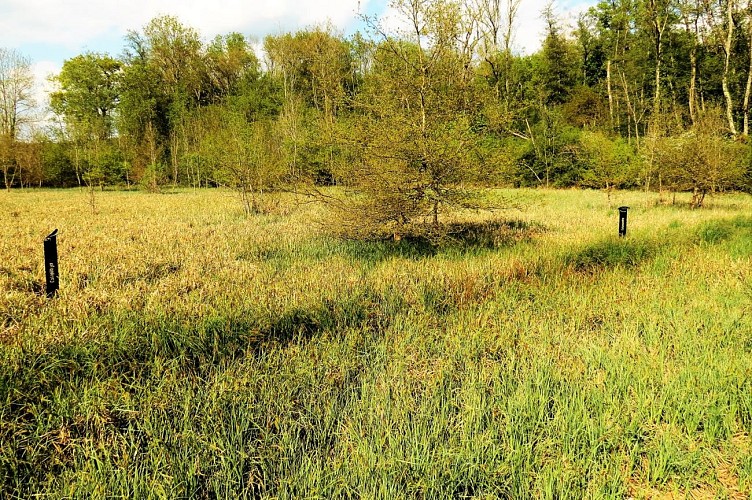 Marais Massilly @J CHR PARCEL (9)