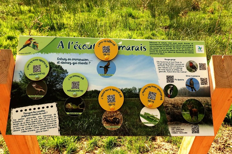 Marais Massilly @J CHR PARCEL (4)