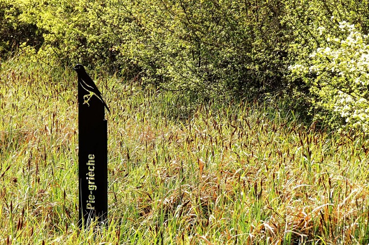 Marais Massilly @J CHR PARCEL (5)