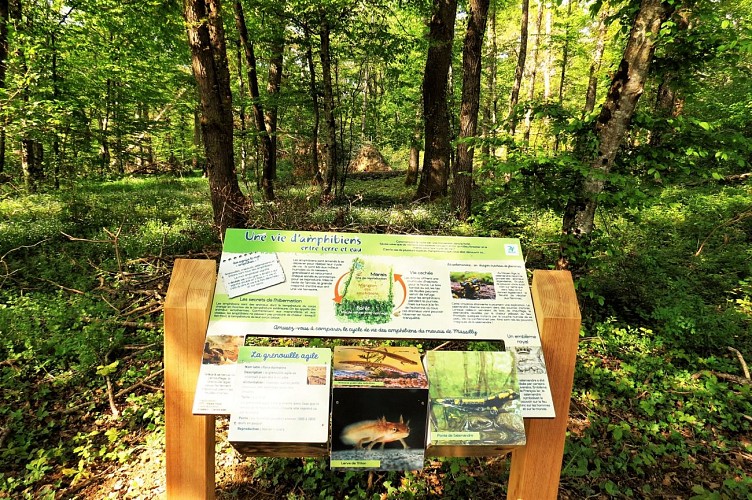 Marais Massilly @J CHR PARCEL (10)