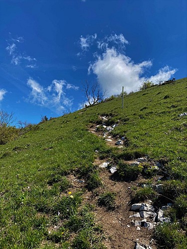 Hike: on the ridge of the Grand Colombier (circuit des crêtes)