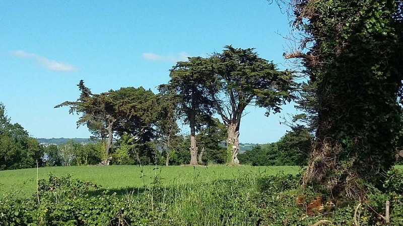 Balade - promenade pédestre | Boucle de St-Efflam - Plestin les Grèves
